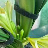 Velcro Hook and Loop Plant Ties